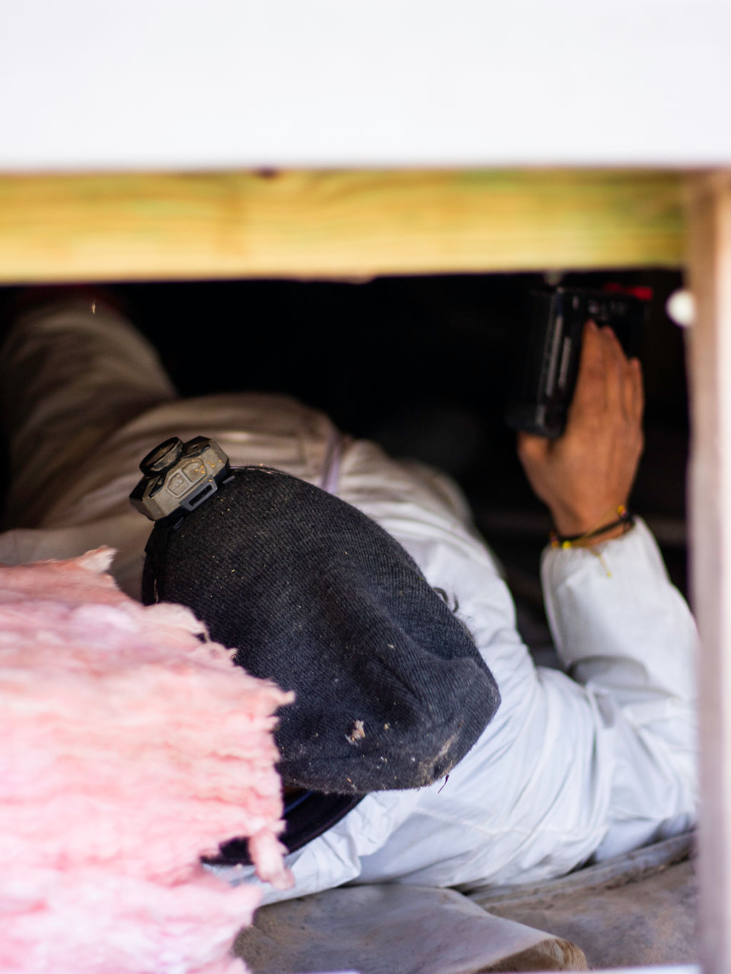 Anderson tech in a crawlspace with pink fiberglass batt insulation visible